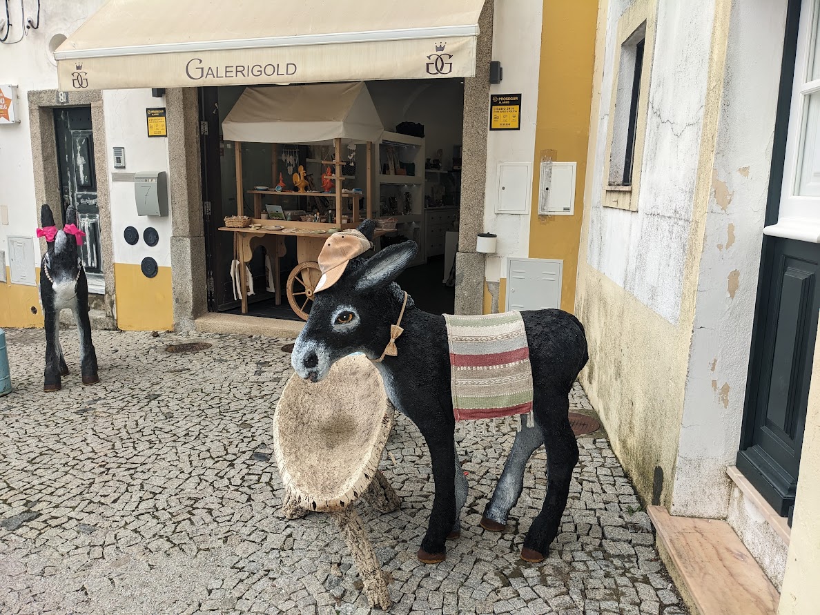We encountered this amiable lad in Évora, encouraging tourists to explore his merchandise.